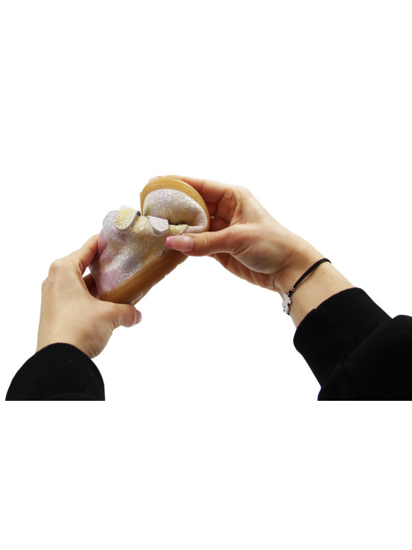 Dziewczęce Buty Na Wiosnę Barefoot Primigi 7907033