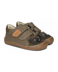 Chłopięce Buty Na Jesień Półbuty z Misiem Barefoot Ameko Otis Lion Taupe
