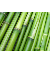 Bambusowe Skarpety Białe Długie Bezuciskowe Deomed Bamboo Silver