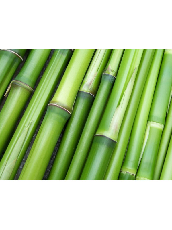 Bambusowe Skarpety Białe Długie Bezuciskowe Deomed Bamboo Silver